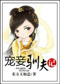 《宠妾驯夫记》封面