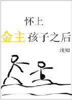 《怀上金主孩子之后求分手》封面