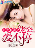 《甜妻有毒之老公爱不停》封面