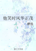 《他笑时风华正茂》封面