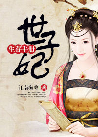 《世子妃生存手册》封面