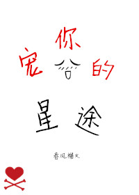 《宠你的星途》封面