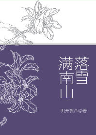 《落雪满南山》封面