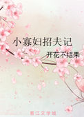 《小寡妇招夫记》封面