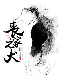 《丧家之犬（重生）》封面