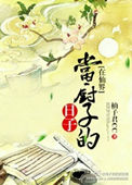《在仙界当厨子的日子》封面
