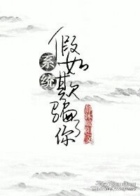 《假如系统欺骗了你》封面