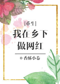 《我在乡下做网红[重生]》封面
