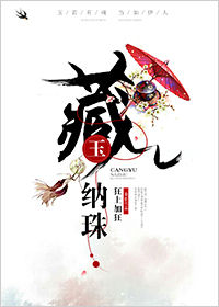 《藏玉纳珠》封面