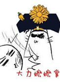 《大力嬷嬷掌》封面