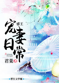 《睿王宠妻日常》封面