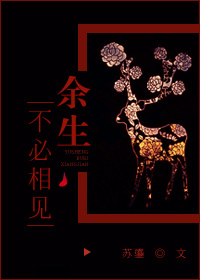 《余生不必相见》封面