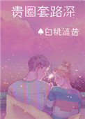 《贵圈套路深[娱乐圈]》封面