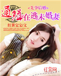 《先婚后孕：通缉在逃未婚妻》封面