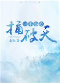 《一不小心捅破天》封面