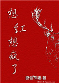 《想红想疯了[娱乐圈]》封面