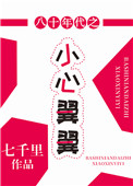 《八十年代之小心翼翼》封面