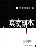 《真实副本》封面