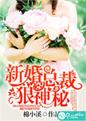 《新婚总裁狠神秘》封面