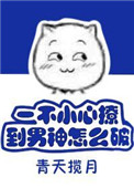 《一不小心撩到男神怎么破》封面