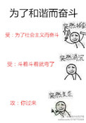 《为了和谐而奋斗》封面