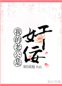 《我的老公是奸佞》封面