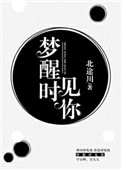 《梦醒时见你》封面