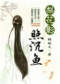 《梨花影照沉鱼》封面