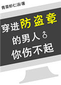 《穿进防盗章的男人你伤不起》封面