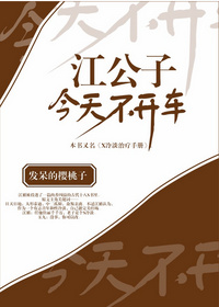 《江公子今天不开车》封面
