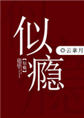 《似瘾》封面