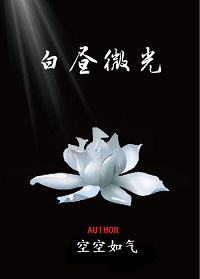 《白昼微光》封面
