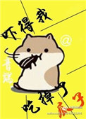 《先撩为敬》封面
