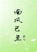 《南风已至》封面
