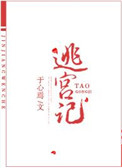 《宠妃逃宫记》封面