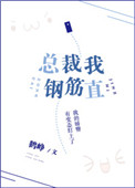 《总裁我钢筋直》封面