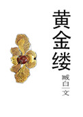 《黄金缕》封面