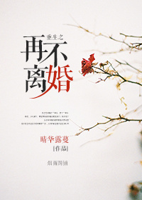 《重生之再不离婚》封面