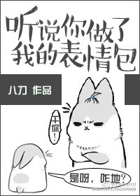 《听说你做了我的表情包》封面