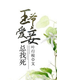 《王爷爱妾总找死》封面