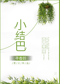 《小结巴》封面