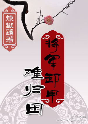 《将军卸甲难归田》封面