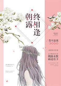 《朝露终相逢》封面