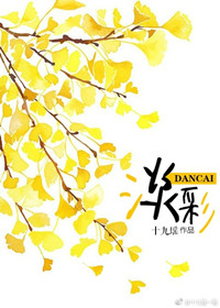 《淡彩》封面