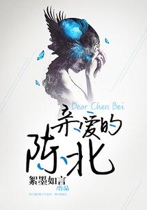《亲爱的陈北》封面