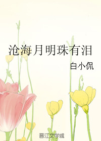 《沧海月明珠有泪》封面