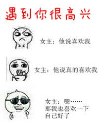 《遇到你很高兴》封面