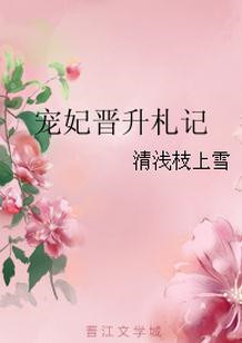 《宠妃晋升札记》封面