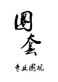 《圈套（玩物）》封面