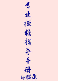 《专业撒糖指导手册》封面